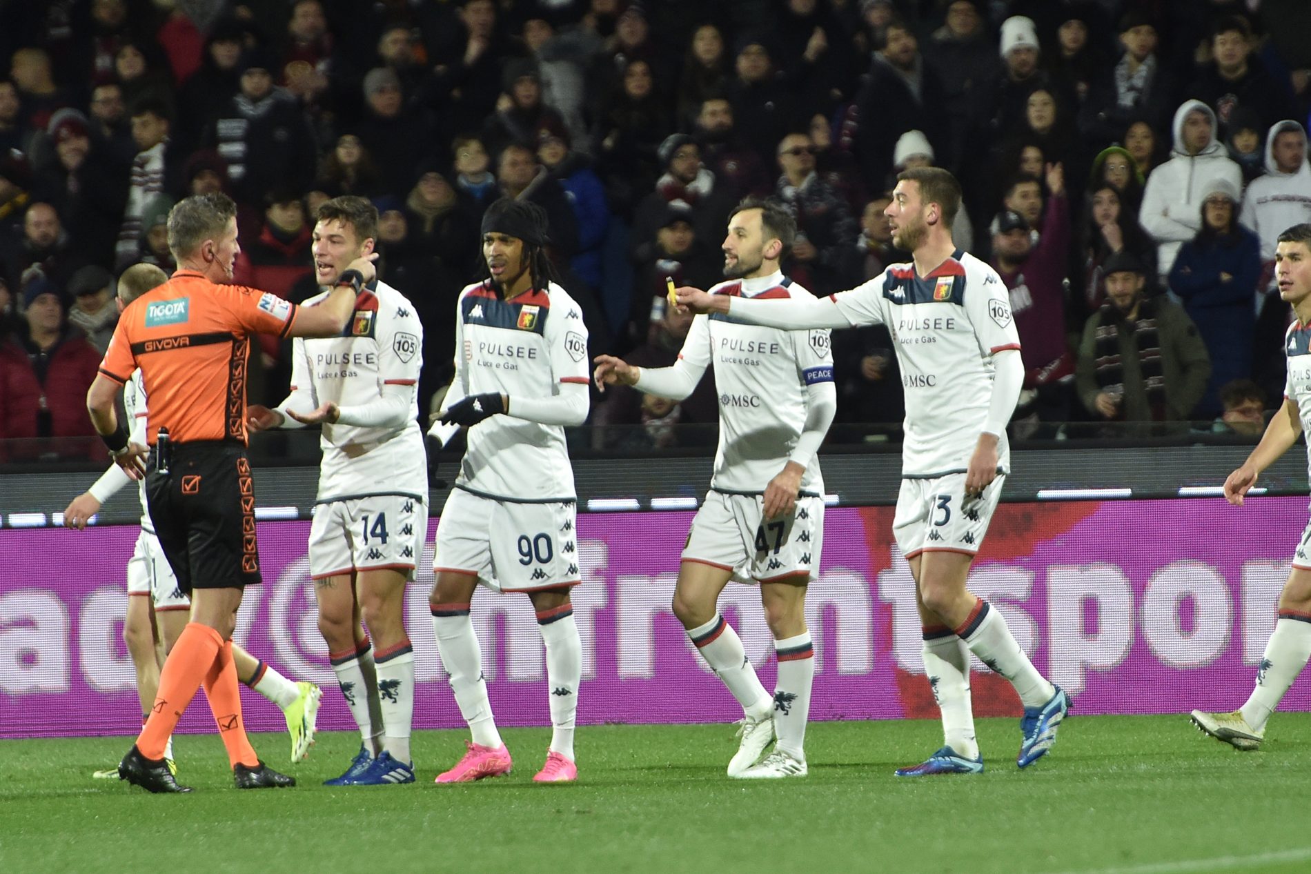 salernitana genoa