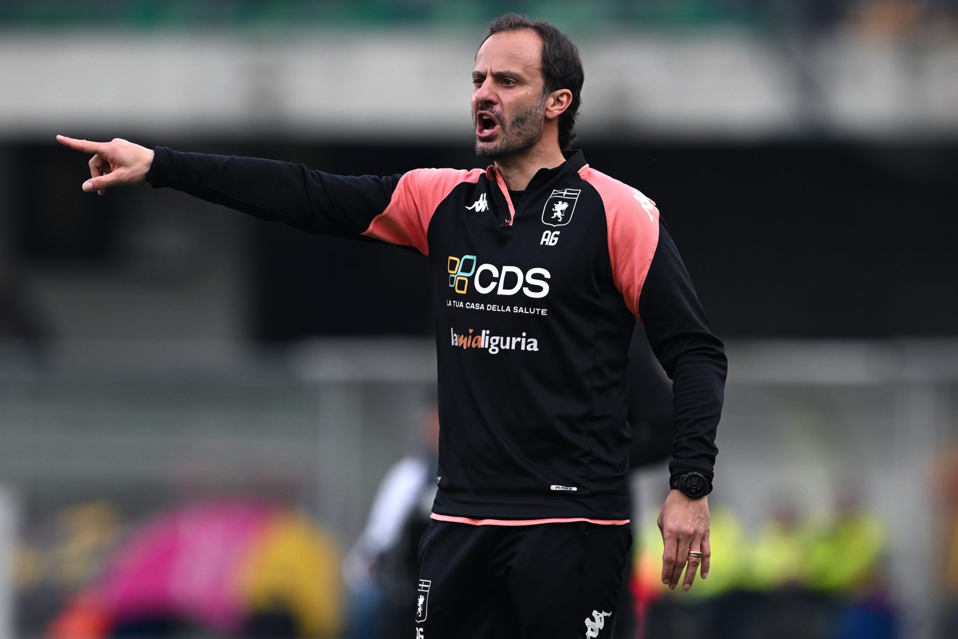 gilardino