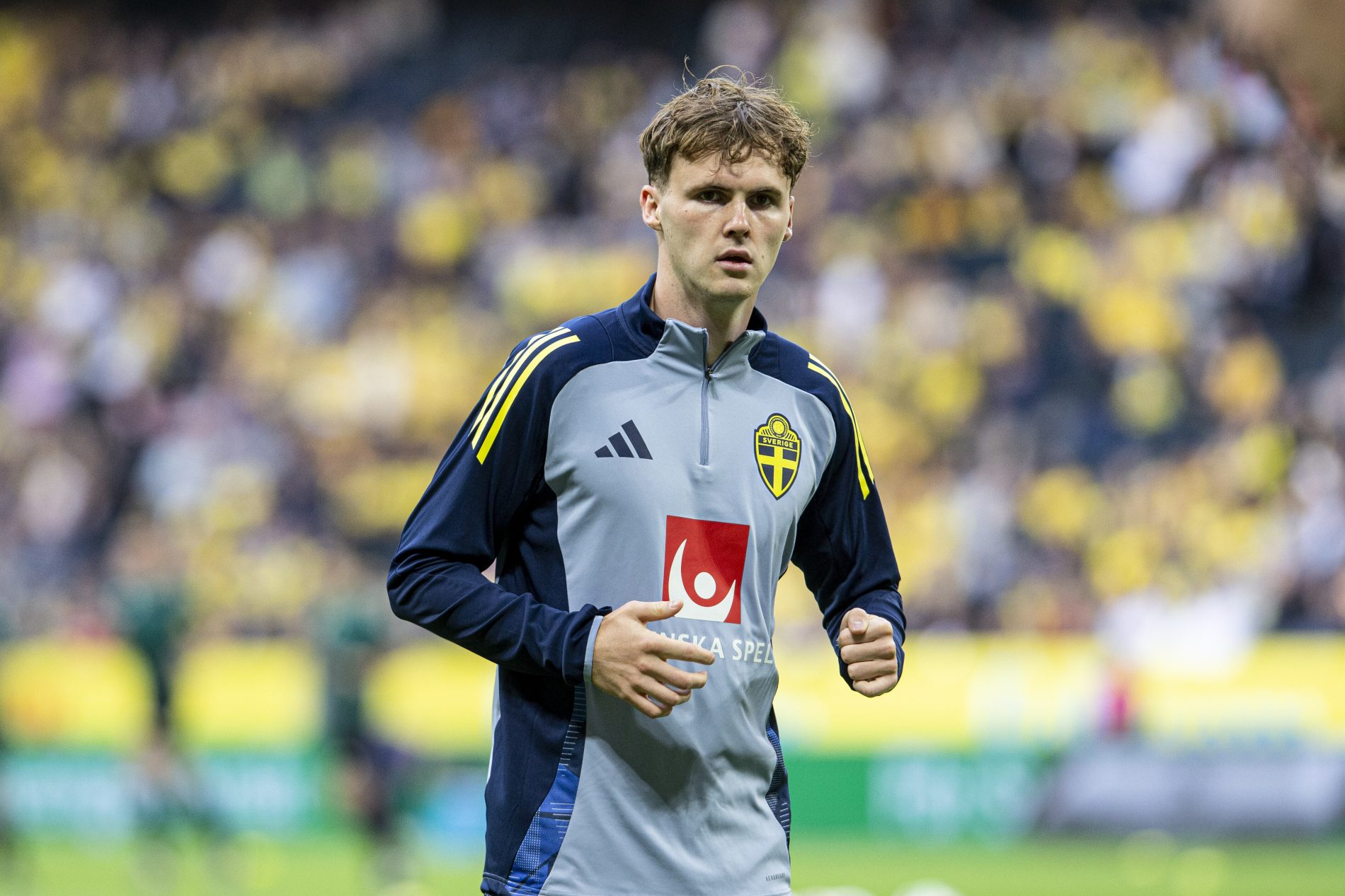swedberg