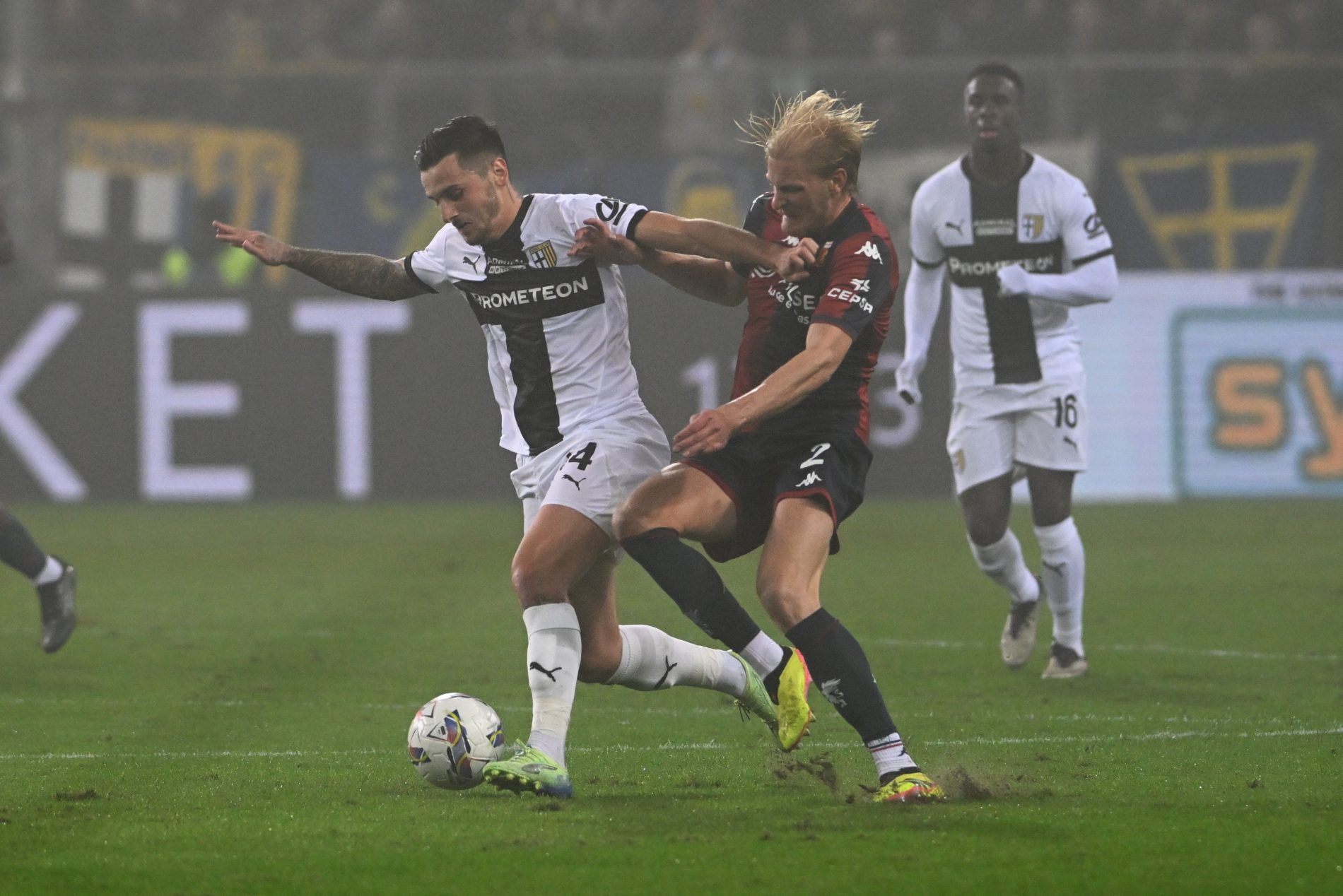 parma