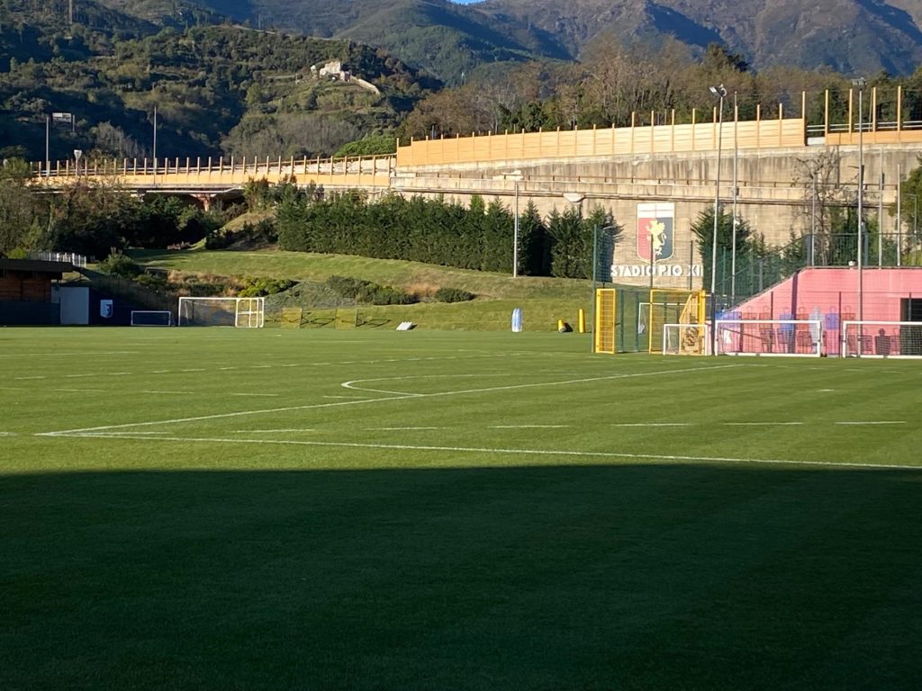 vieira