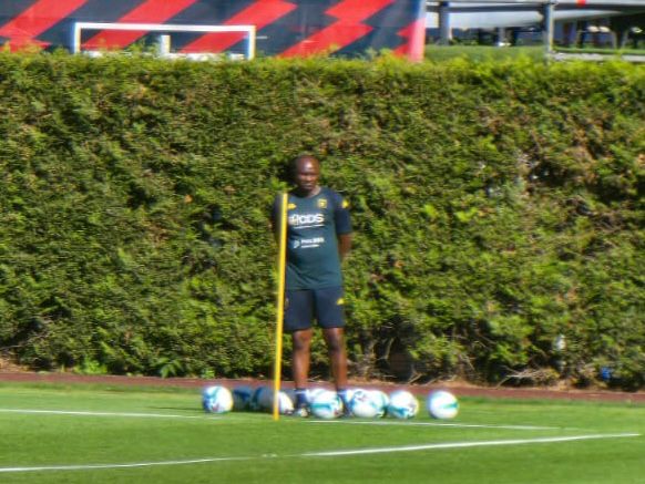 vieira