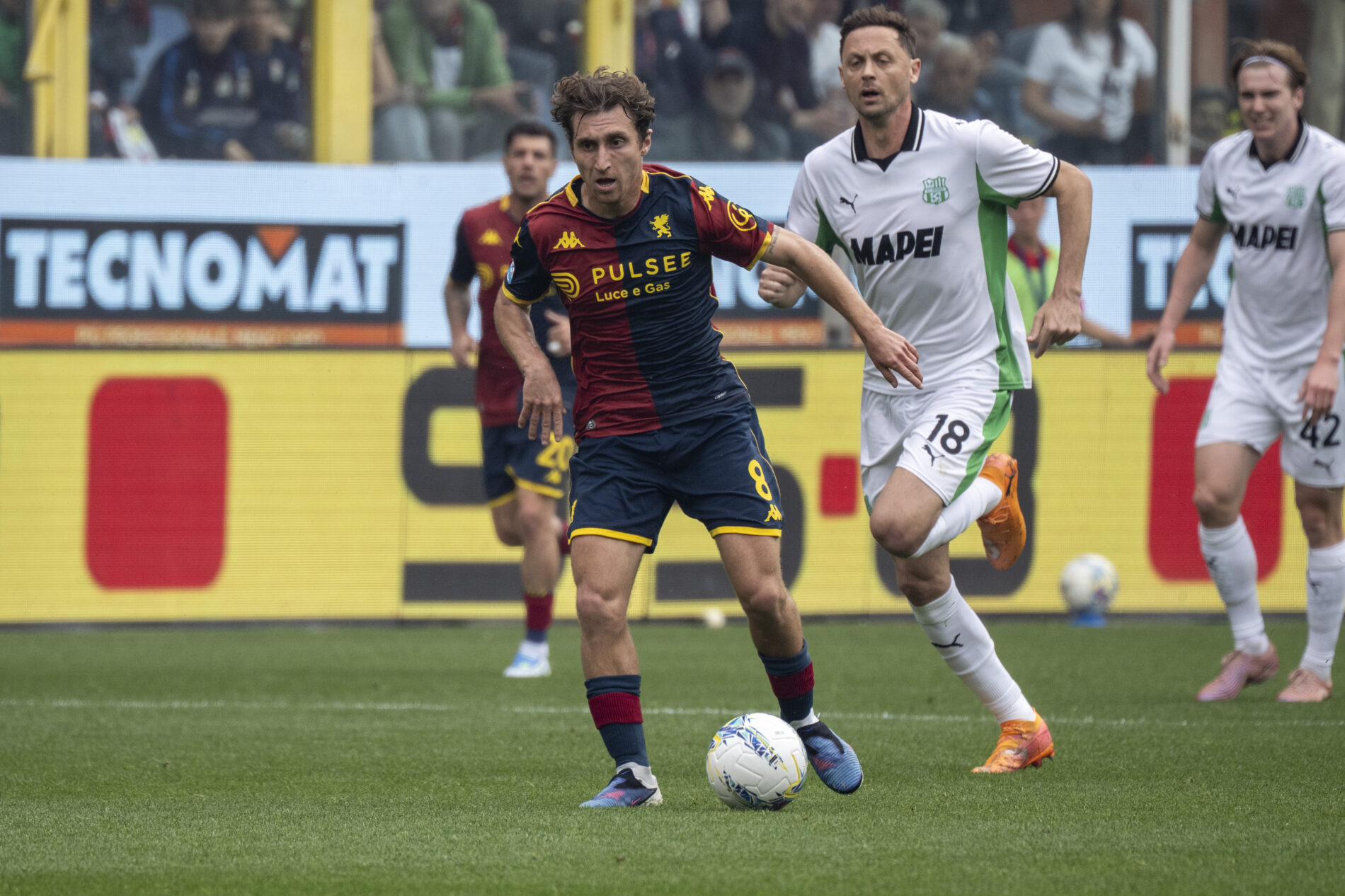 pisa genoa