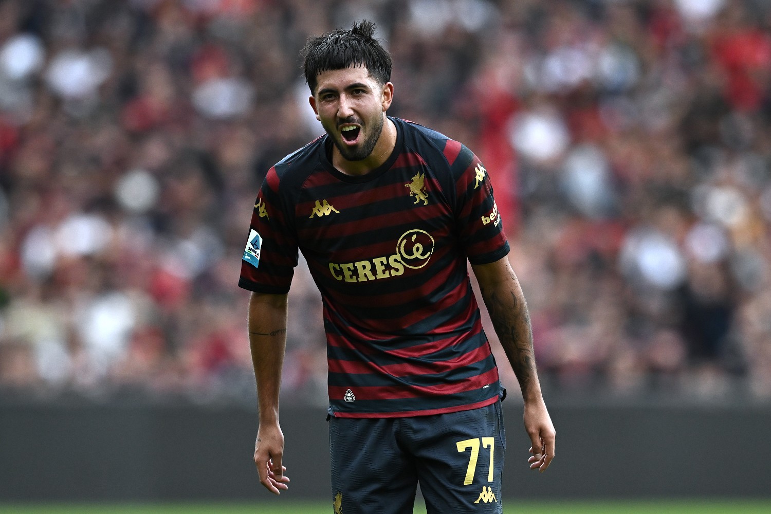 ellertsson genoa-venezia